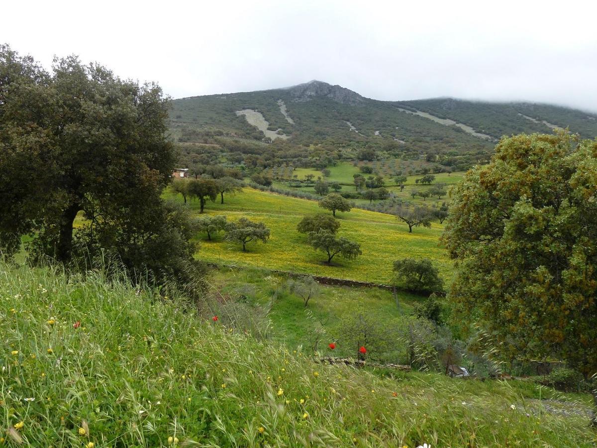 Casa Rural La Colmena Del Geoparque Navatrasierra Exteriér fotografie